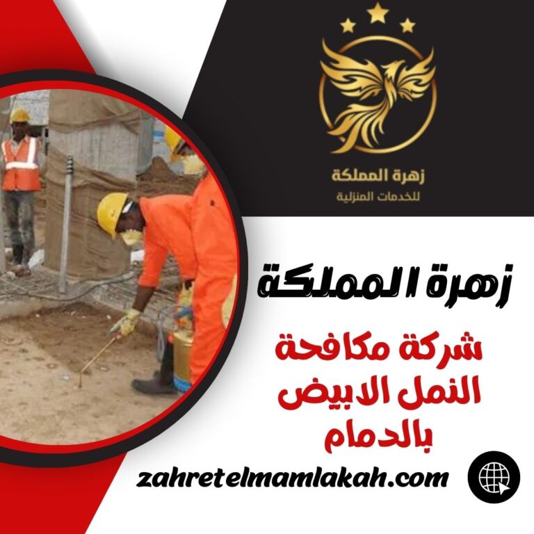 شركة مكافحة النمل الابيض بالدمام
