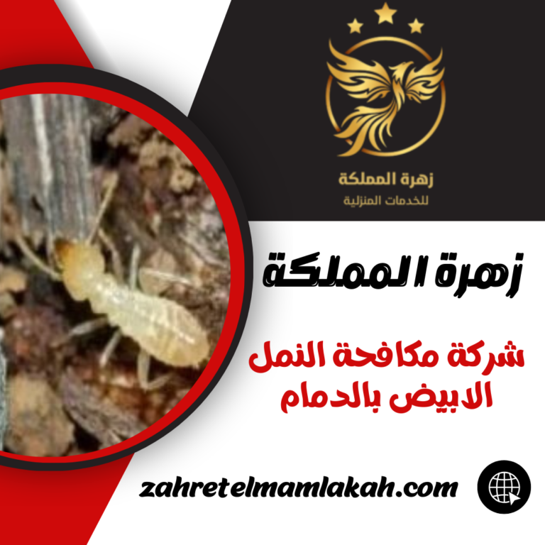 شركة مكافحة النمل الابيض بالدمام 0553873345 رش و ابادة الارضة والنمل الابيض
