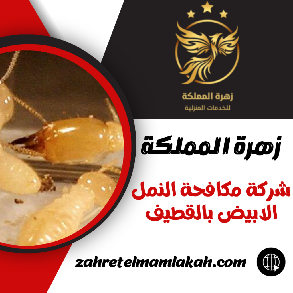 شركة مكافحة النمل الابيض بالقطيف