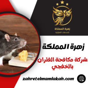 شركة مكافحة الفئران بالخفجي